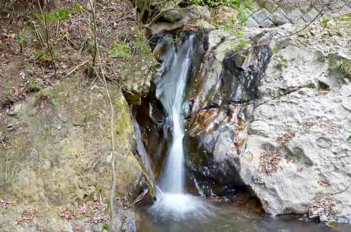 �����̕��������